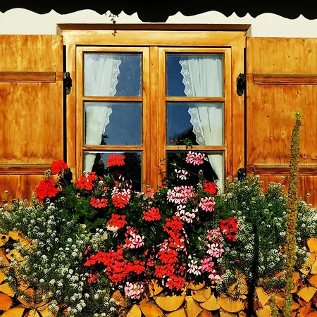 Zumkoch Apartman *