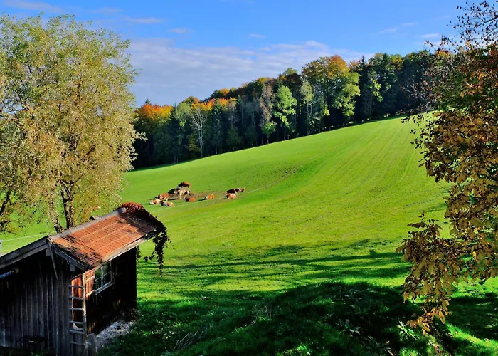 Zumkoch Apartman Wackersberg